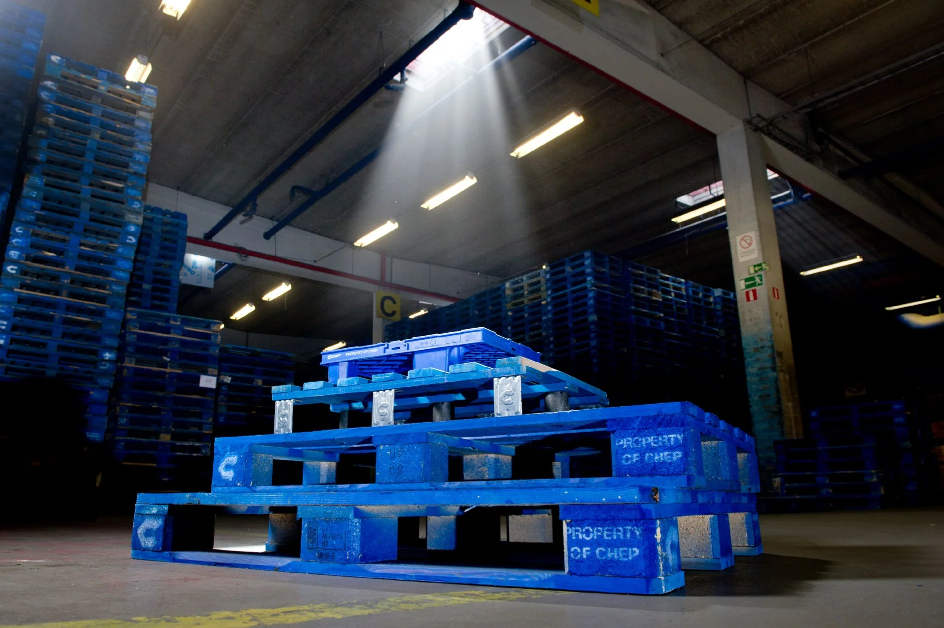 Blue pallets stacked in a warehouse with sunlight streaming through the ceiling.