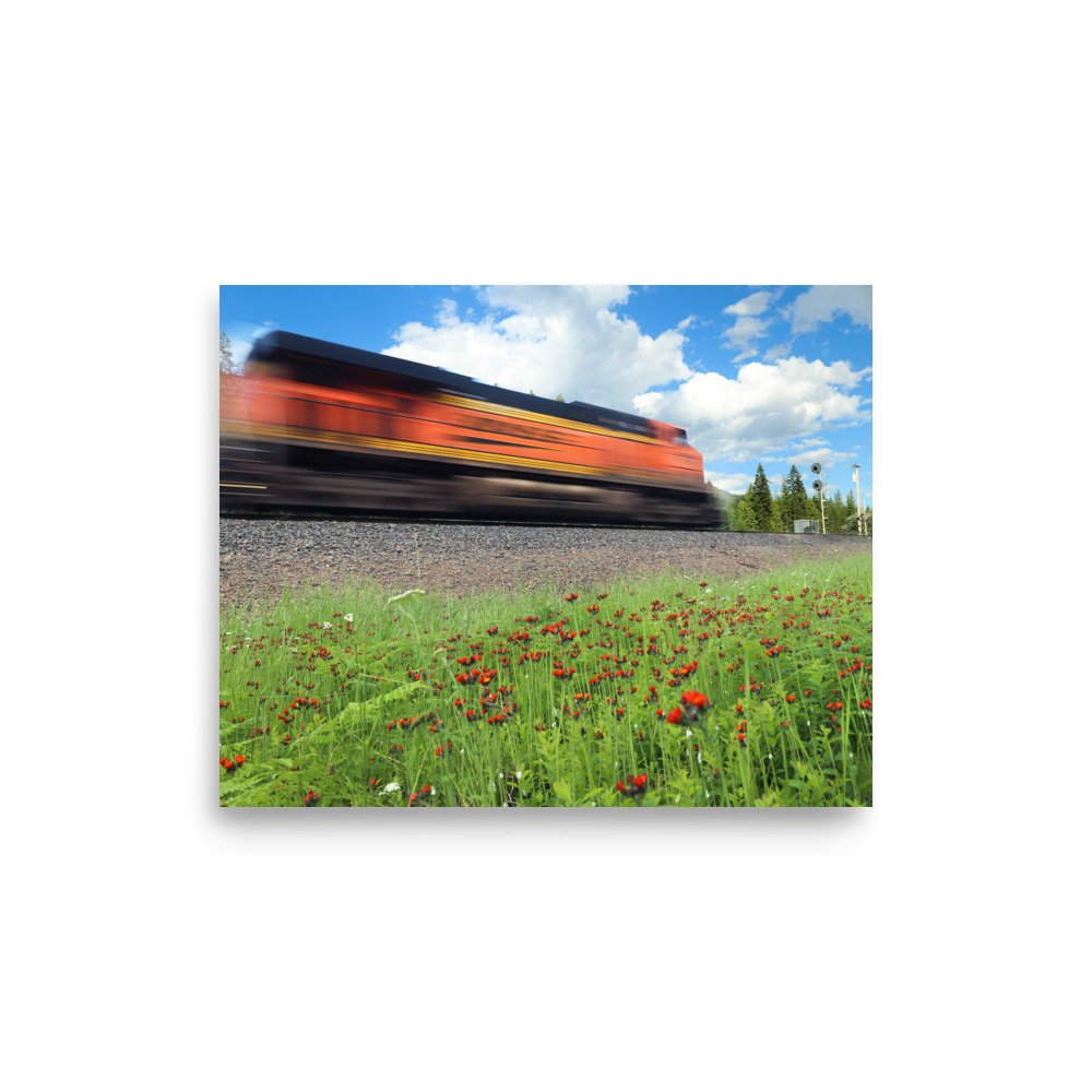 premium-luster-photo-paper-poster-(in)-8x10-front-635c15372bedc.jpg