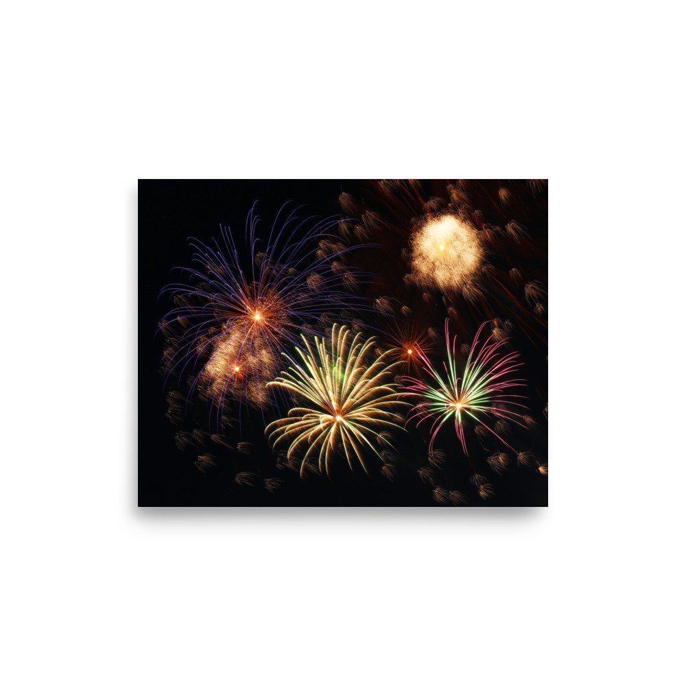 premium-luster-photo-paper-poster-(in)-8x10-front-635c165e5ea8f.jpg