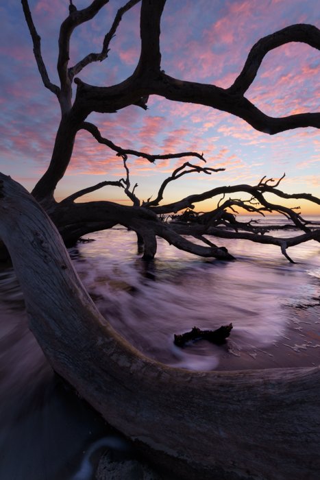 Jekyll Wave Rush 3 image blend CEP and levels.jpg