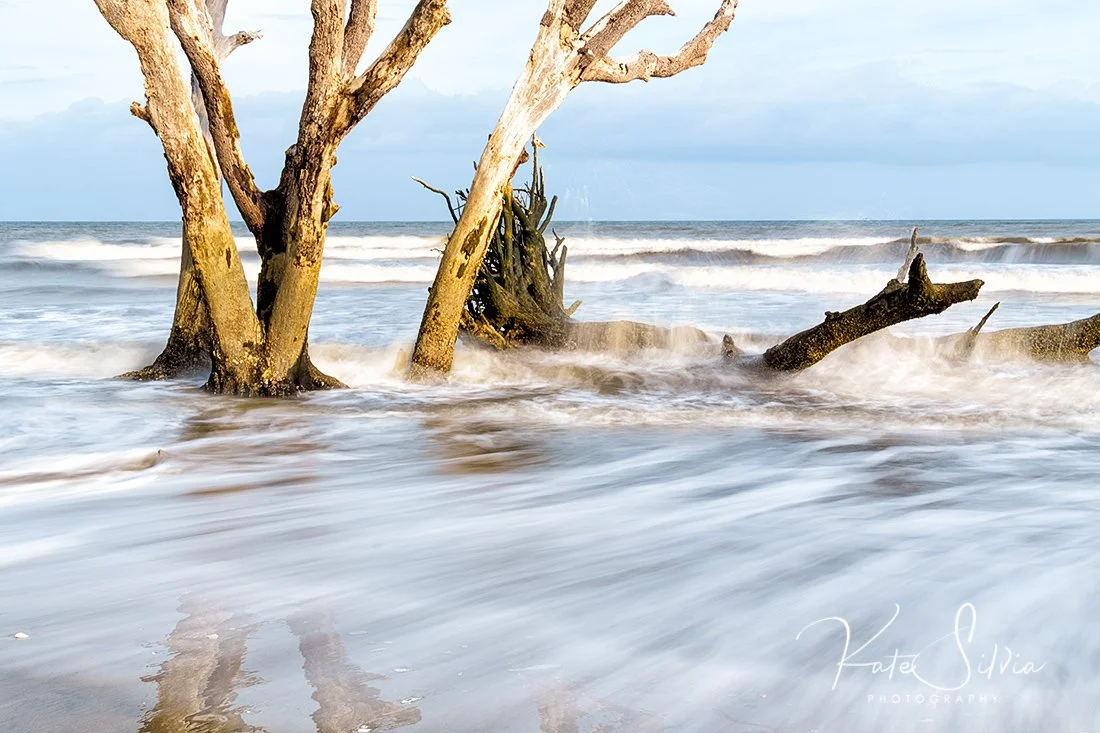 Botany Bay-Late Day Wave LE.jpg
