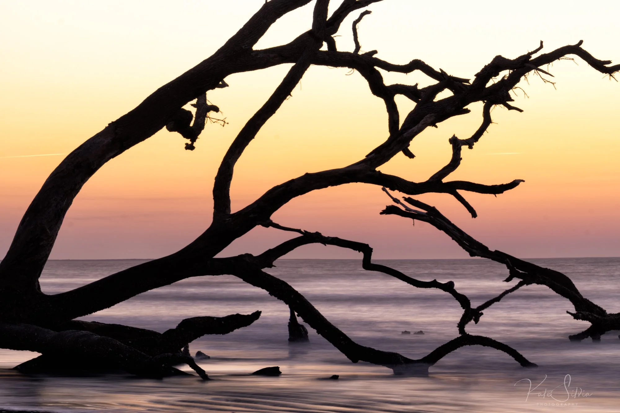 _DSC0798-Edit.jpg