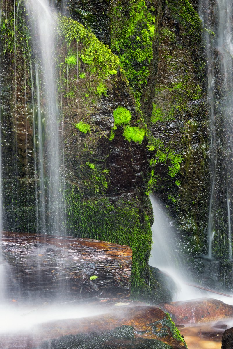 Newland Waterfall Park.jpeg
