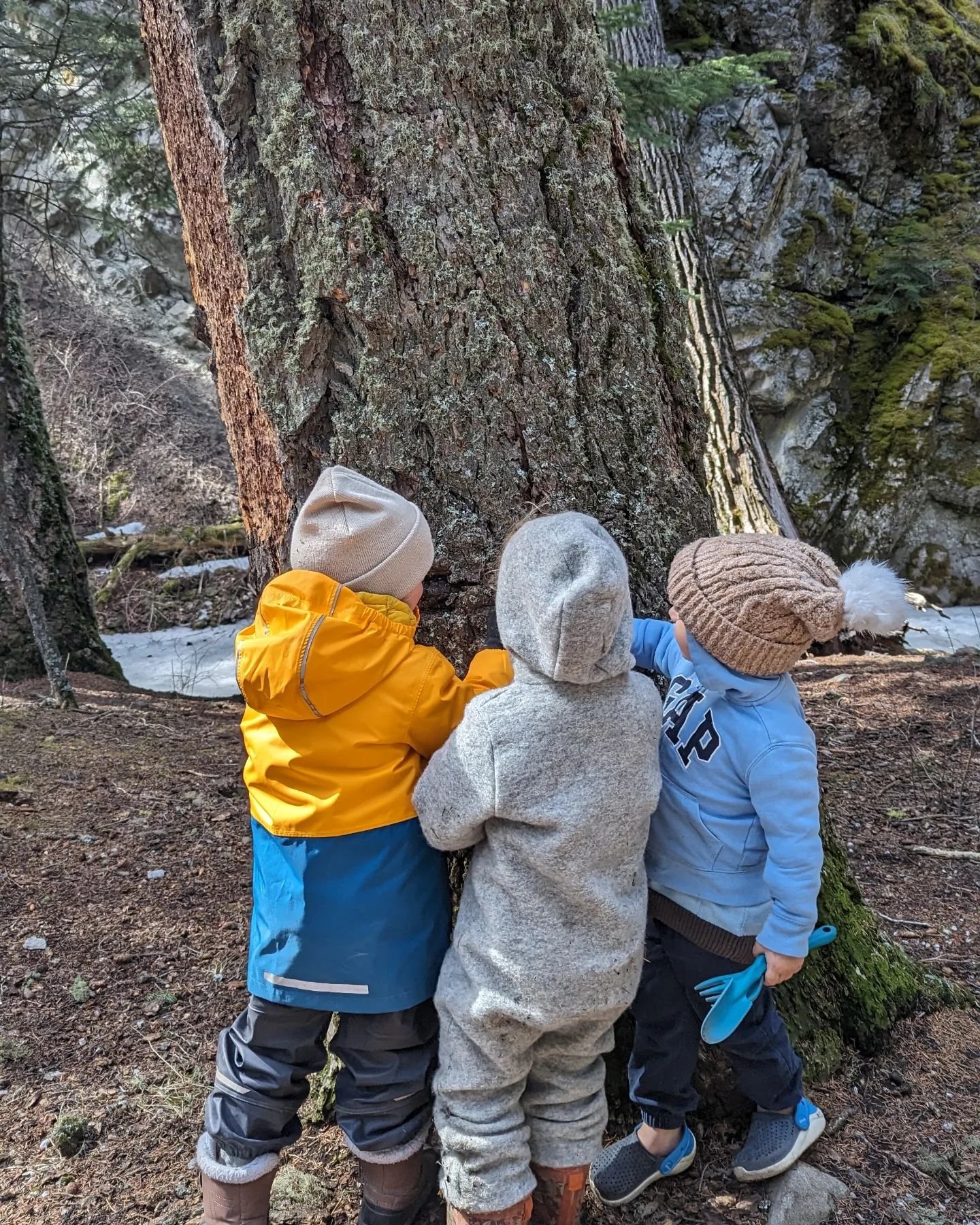 1st week of spring forest school 🌱 full of wonder, curiosity, getting into the dirt, using tools, assessing risk, going for adventures down the path, creating, problem-solving, meeting new friends, and so much more! 
#forestschool #playislearning #r