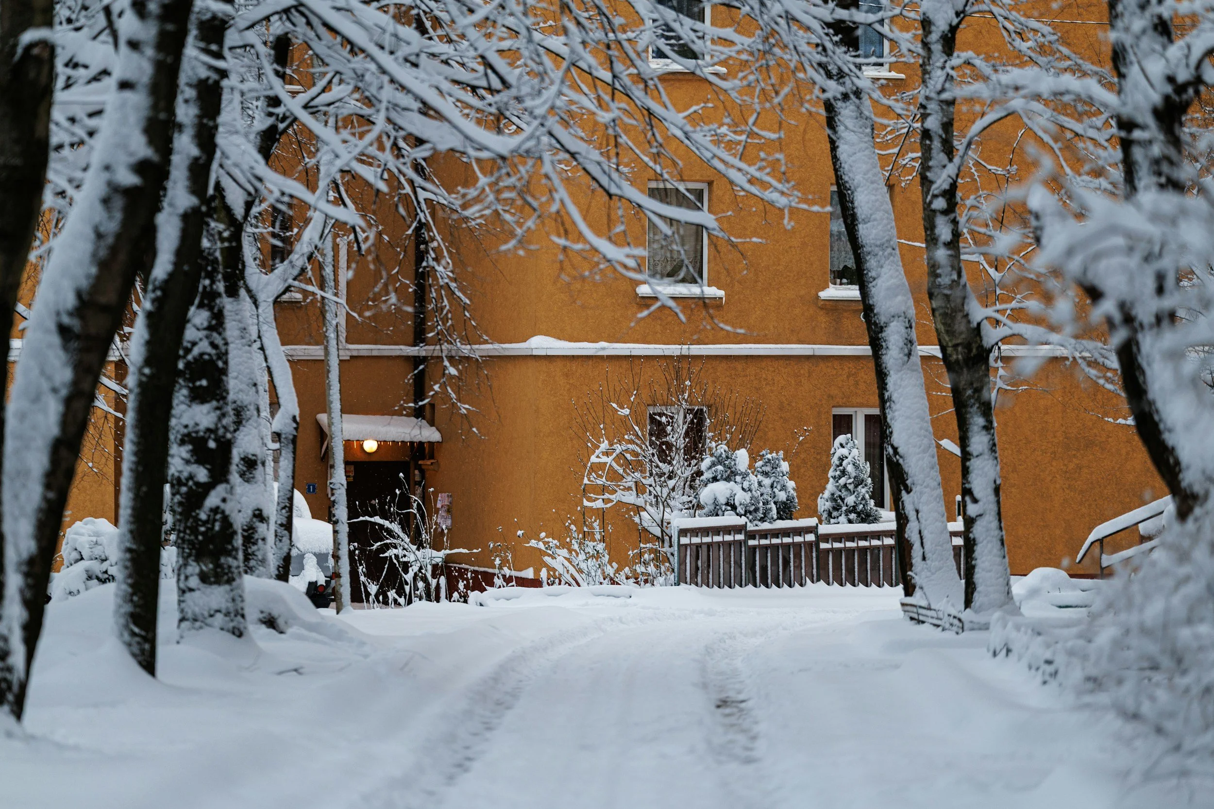 Nytt år, nye muligheter for fasaden: hva bør vurderes midt på vinteren?