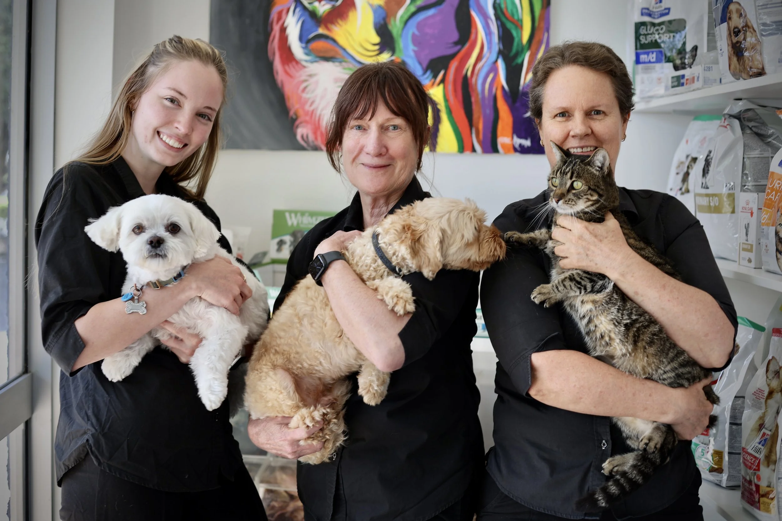 Woombye Veterinary Surgery