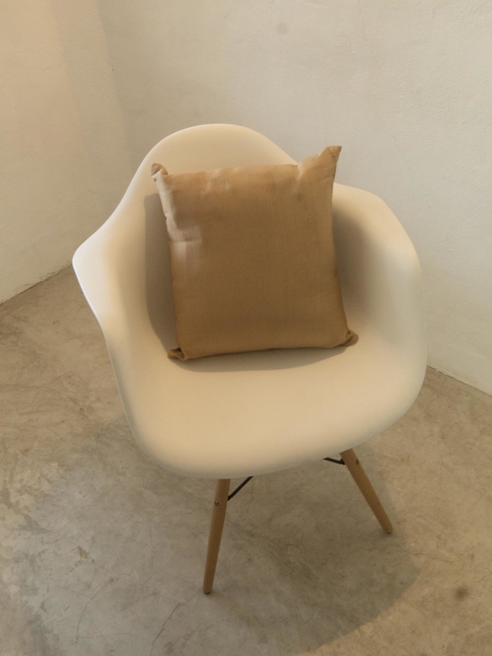 Gold Pillow
$5.00