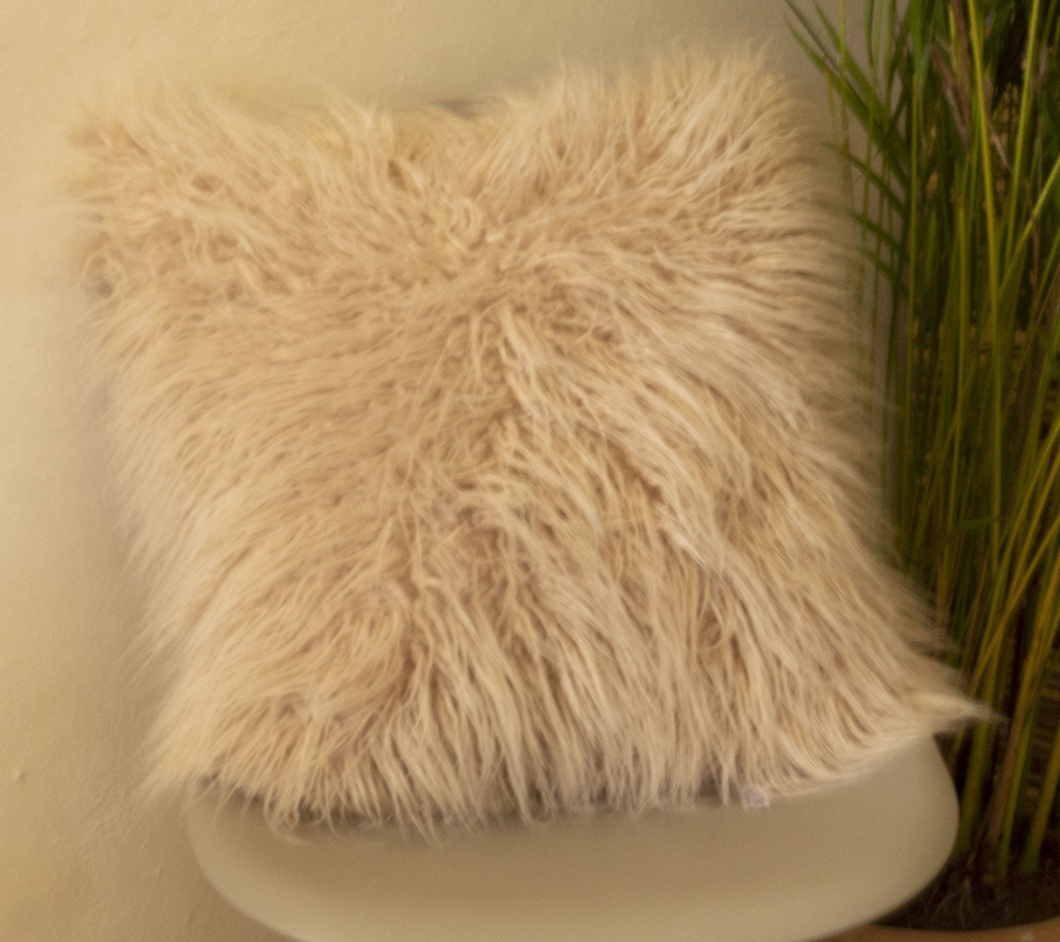 Blush Faux Fur Pillow (2)
$15.00