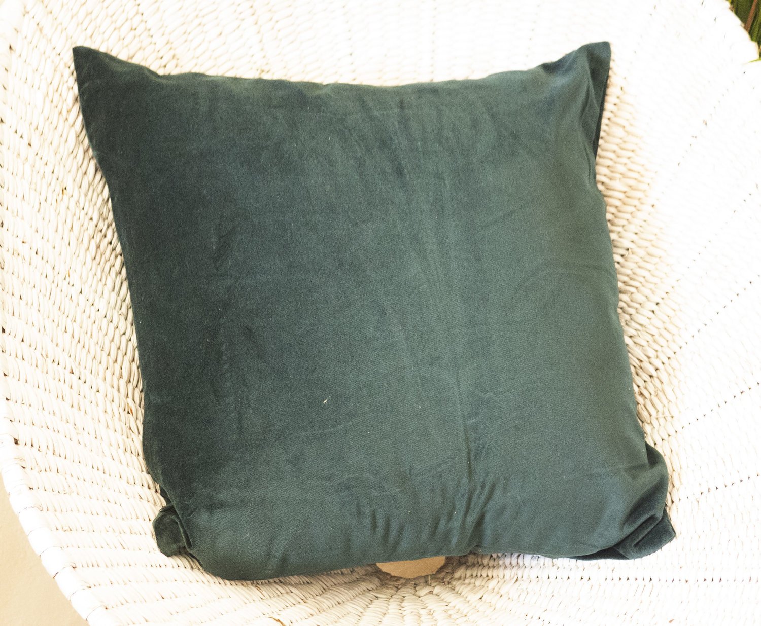 Taupe Velvet Pillows
$5.00