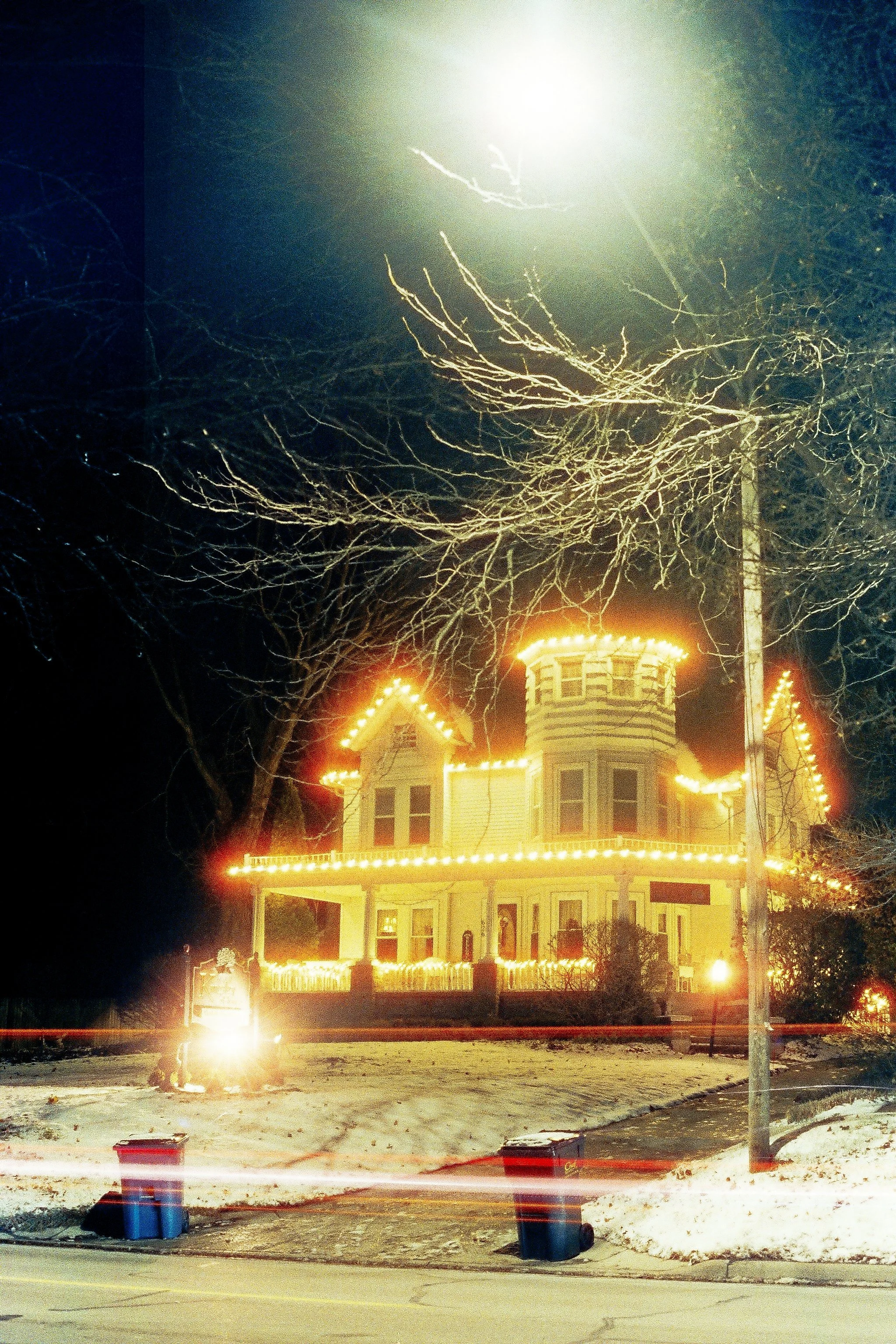 carlisle & marplants.JPG