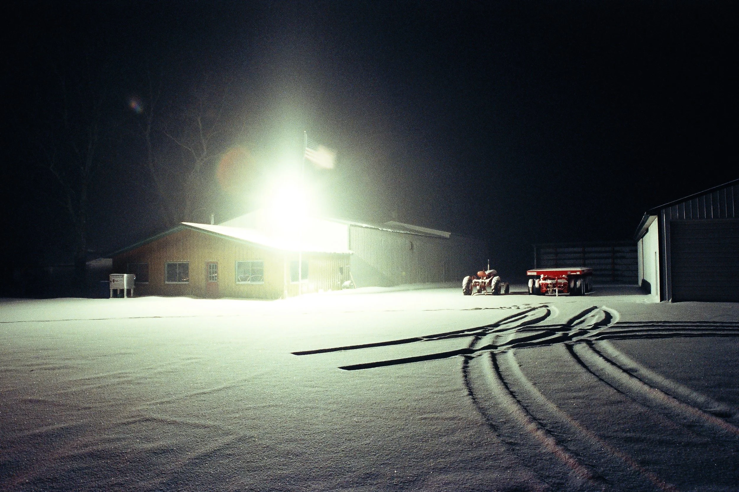 carlisle & marplants-45.JPG