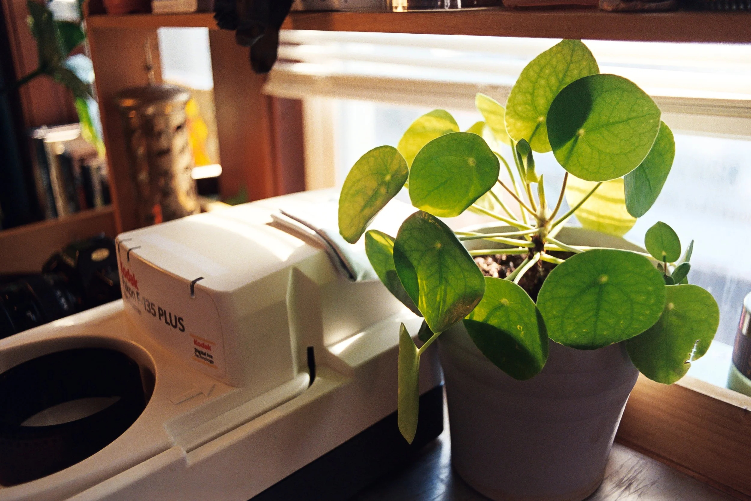 home  (25 of 34).jpg