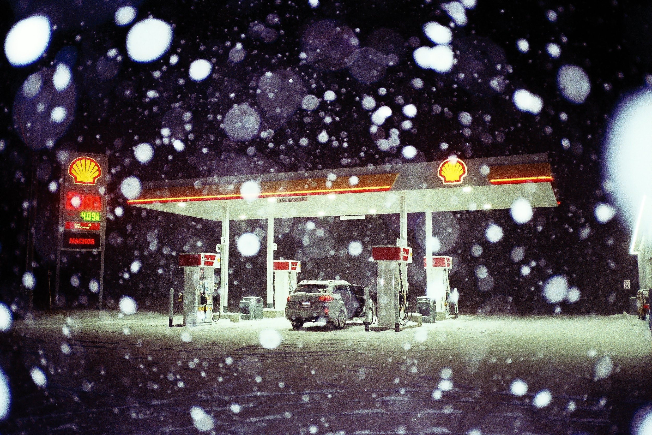 carlisle & marplants-63.JPG