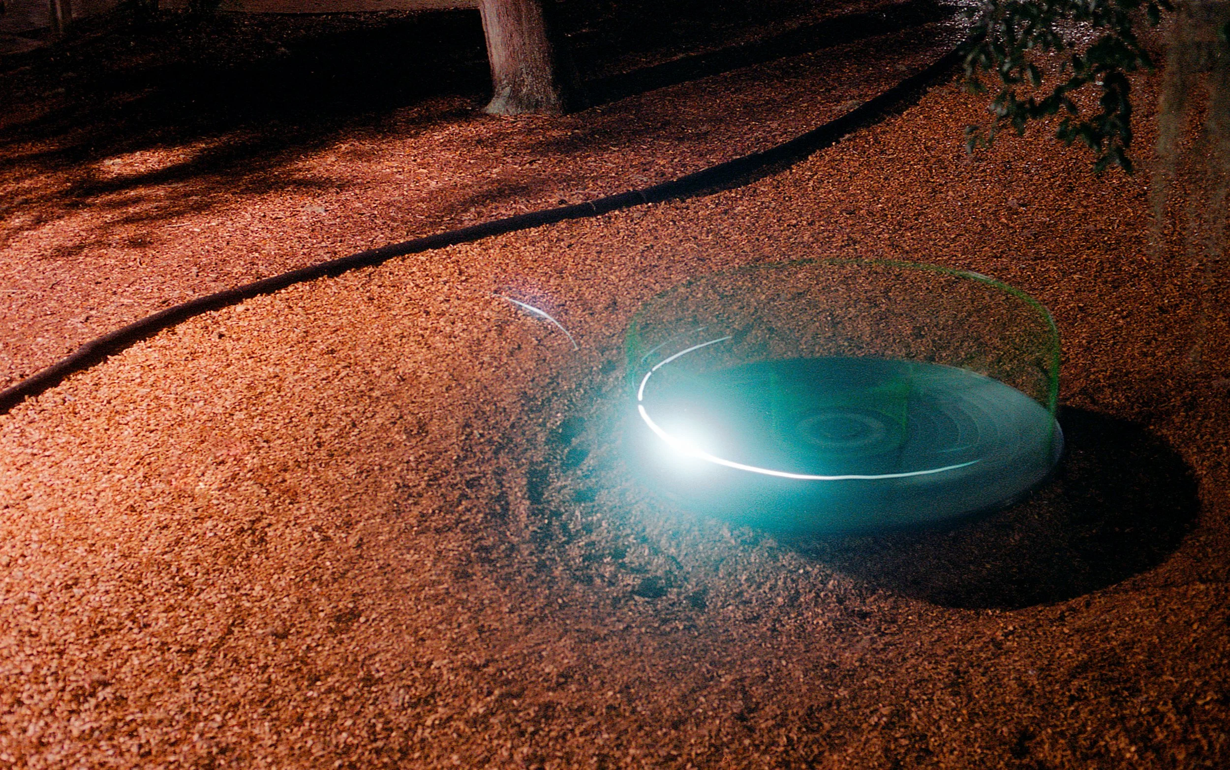 finals  (48 of 51).jpg