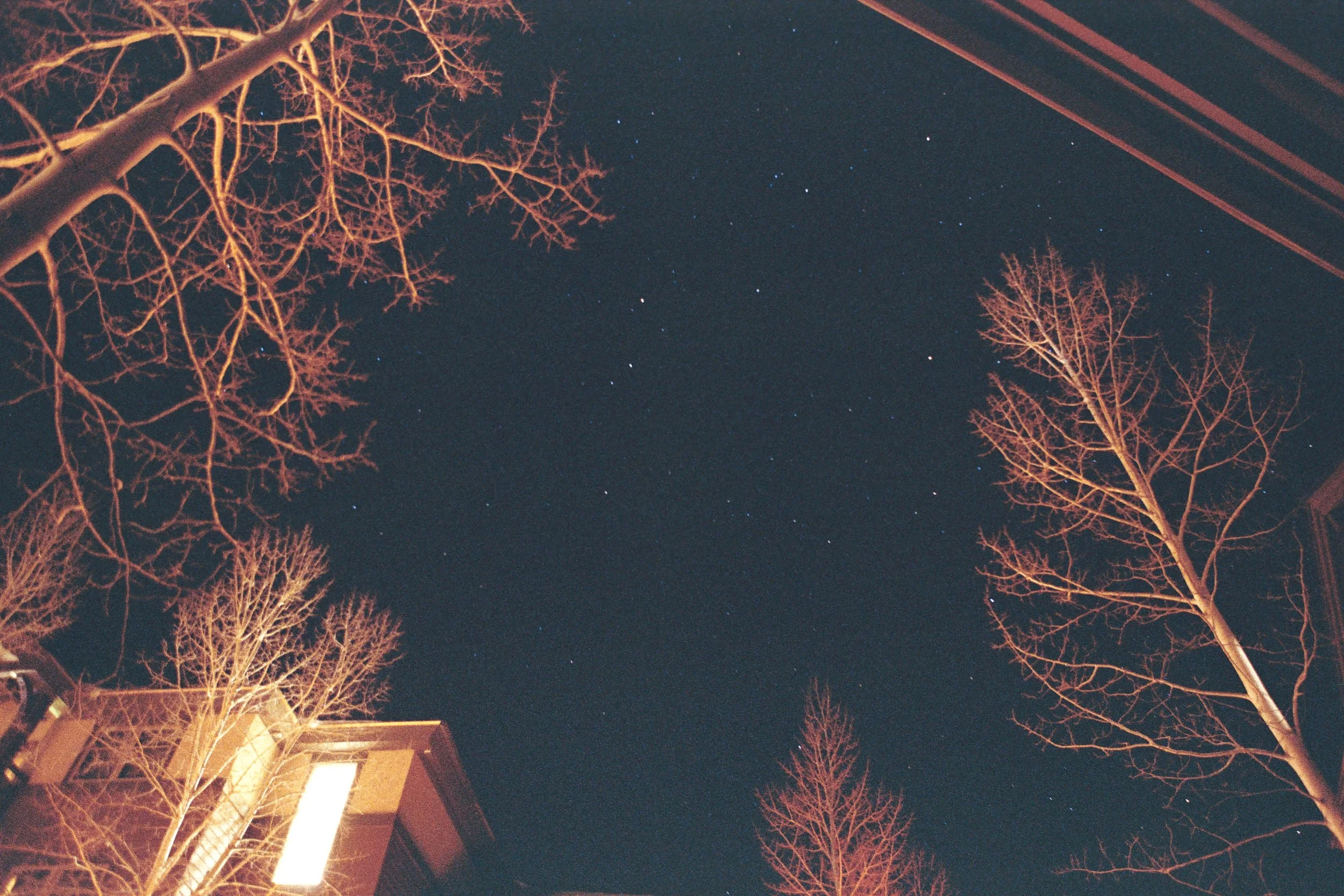 Night sky with stars, leafless trees, and part of a house with lit window and electrical wires.