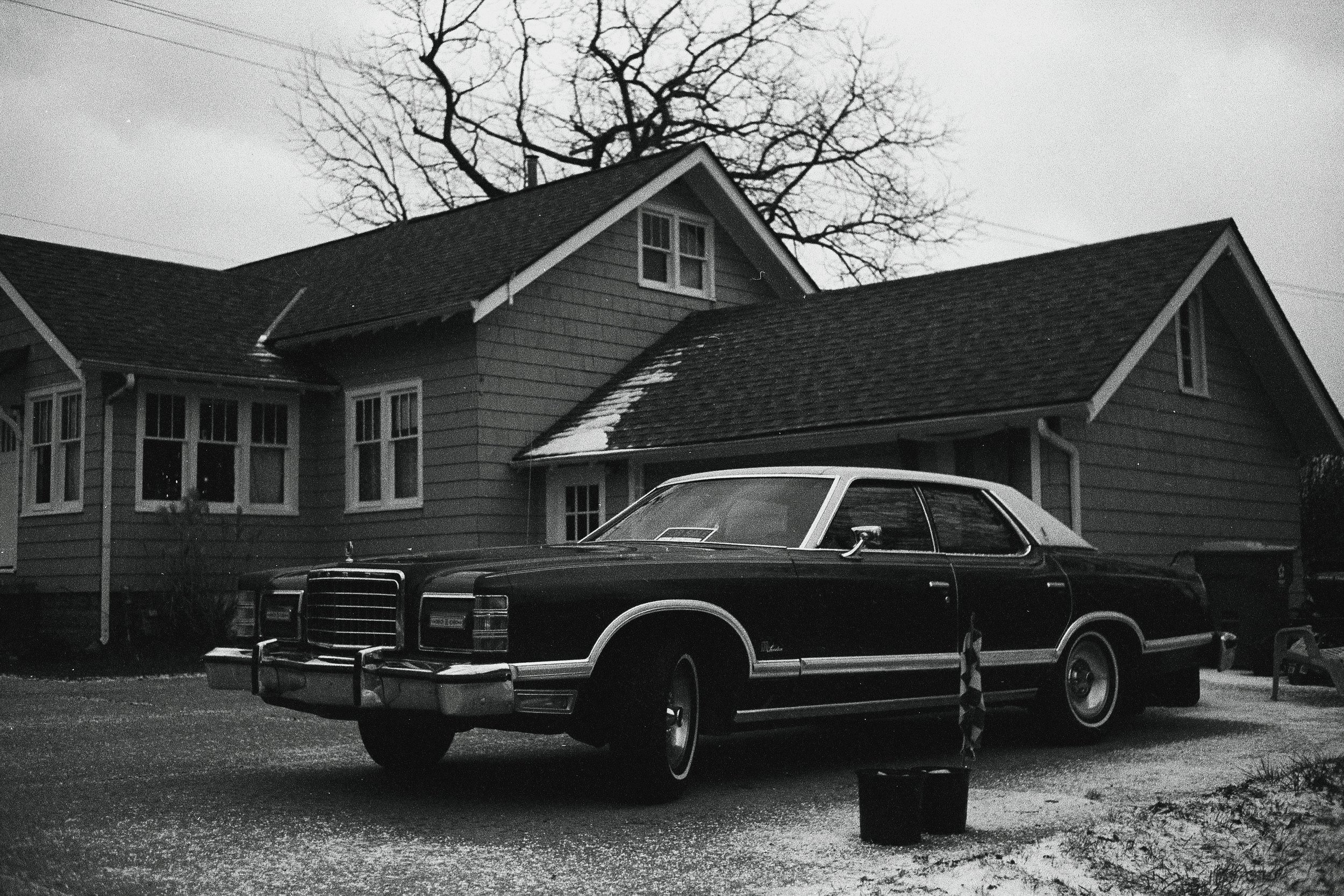 carlisle & marplants-19.JPG