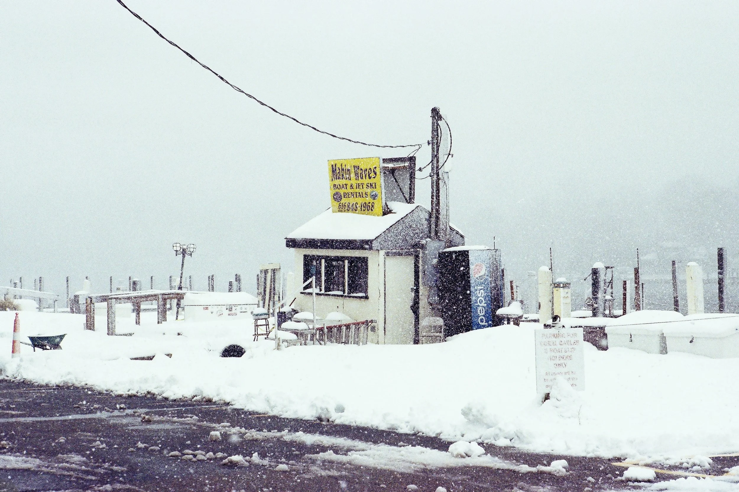 carlisle & marplants-49.JPG