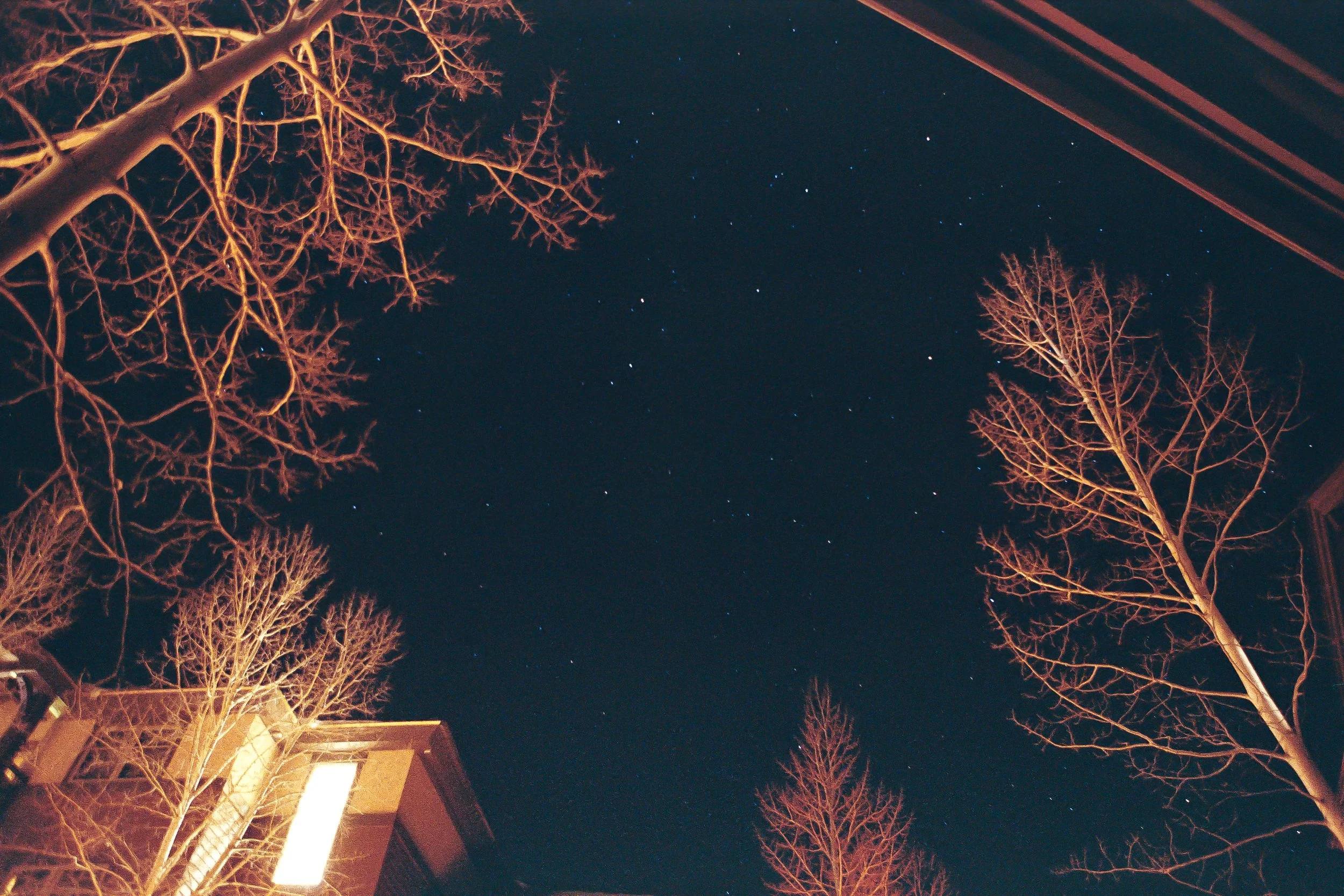 TahoeLG (1 of 7).jpg