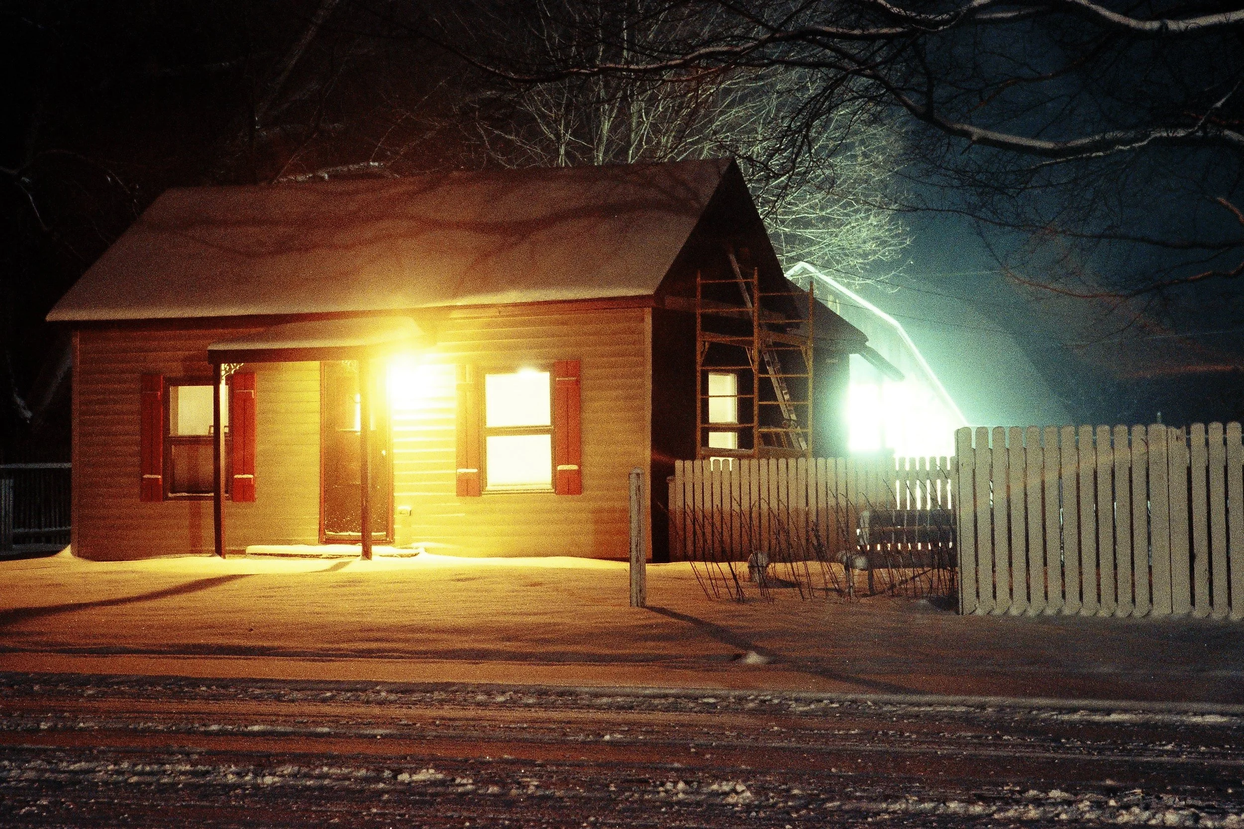 carlisle & marplants-46.JPG