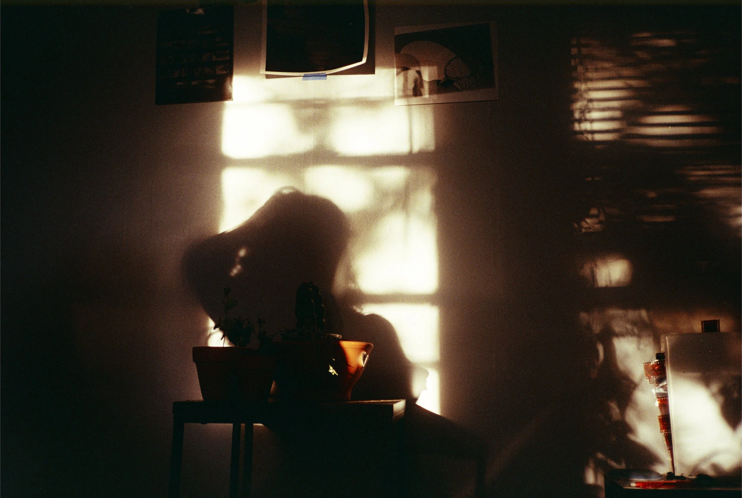 carlisle & marplants.JPG