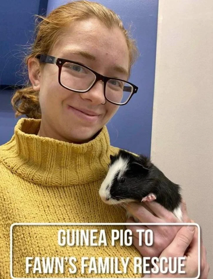 About Fawn’s Family Rescue | Cat Rescue in Bountiful, UT | Fawn's ...