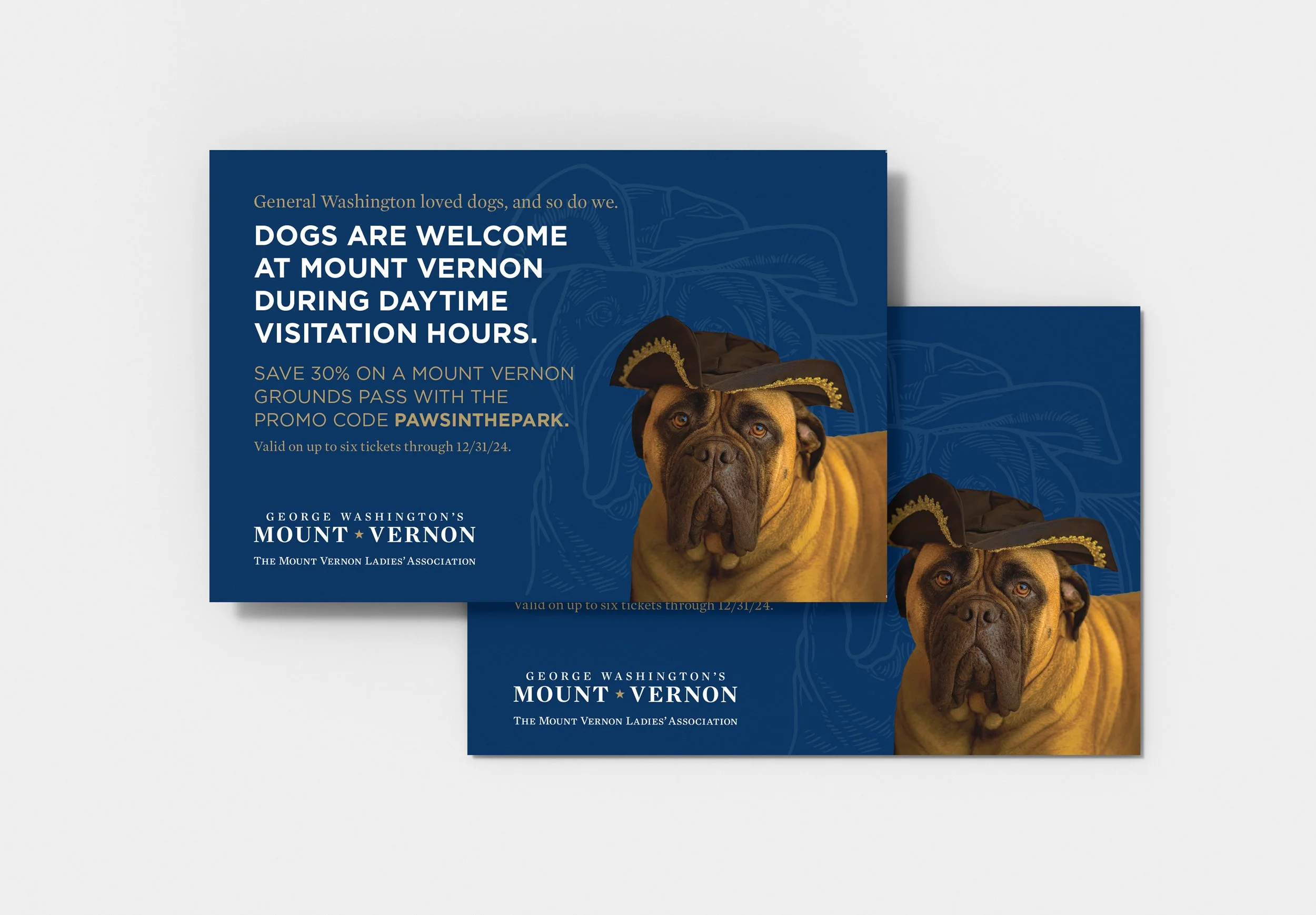 Dog Postcard.jpg