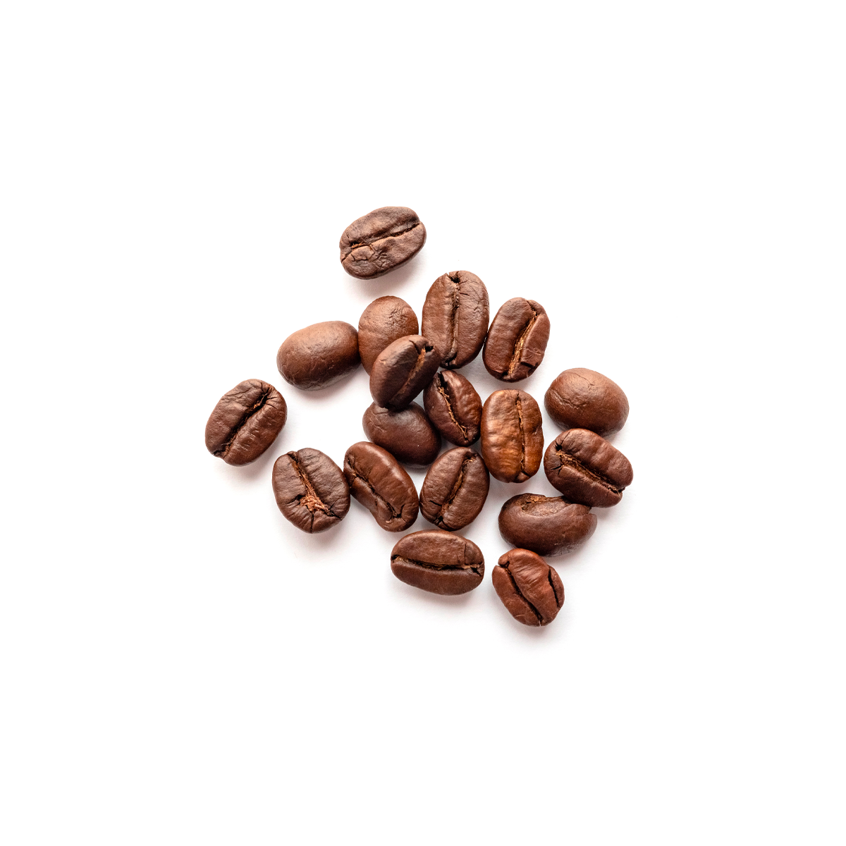 Paradise Valley Coffee Company