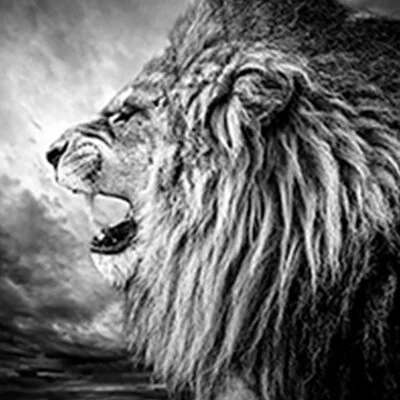 Creating the right environment for start-ups