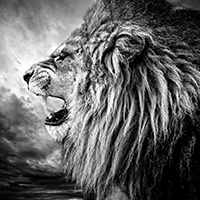 Why you need a mentor