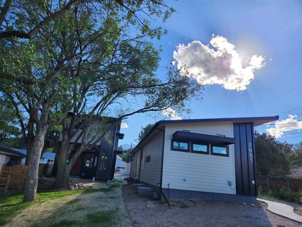 Tree Branch Removal — Colorado All Trades & Trees