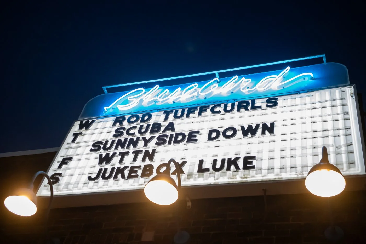 rod-tuffcurls-bluebird-4-22-2026-4224.jpg