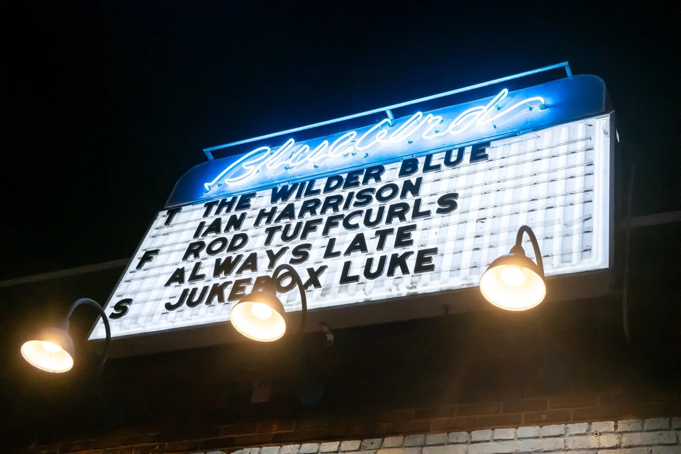 rod-tuffcurls-bluebird-9-18-2026-3662.jpg