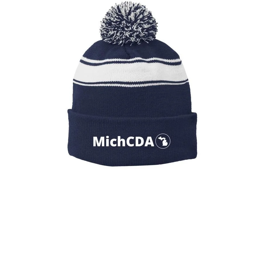 MichCDA Printed Stripe Pom-Pom Beanie - $20