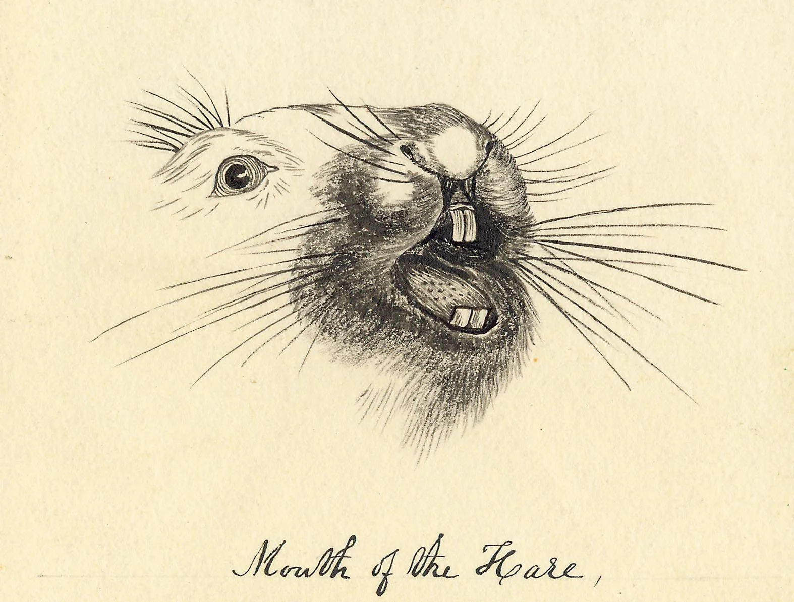 February First Saturday: Rock, Paper, Stickers—The Science of Surface