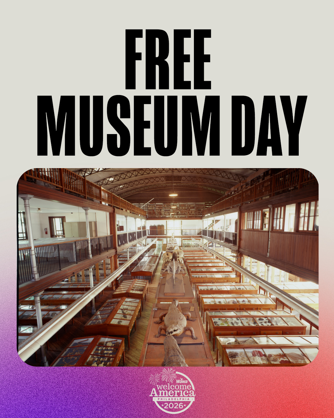 Free Museum Day & Collections Tour