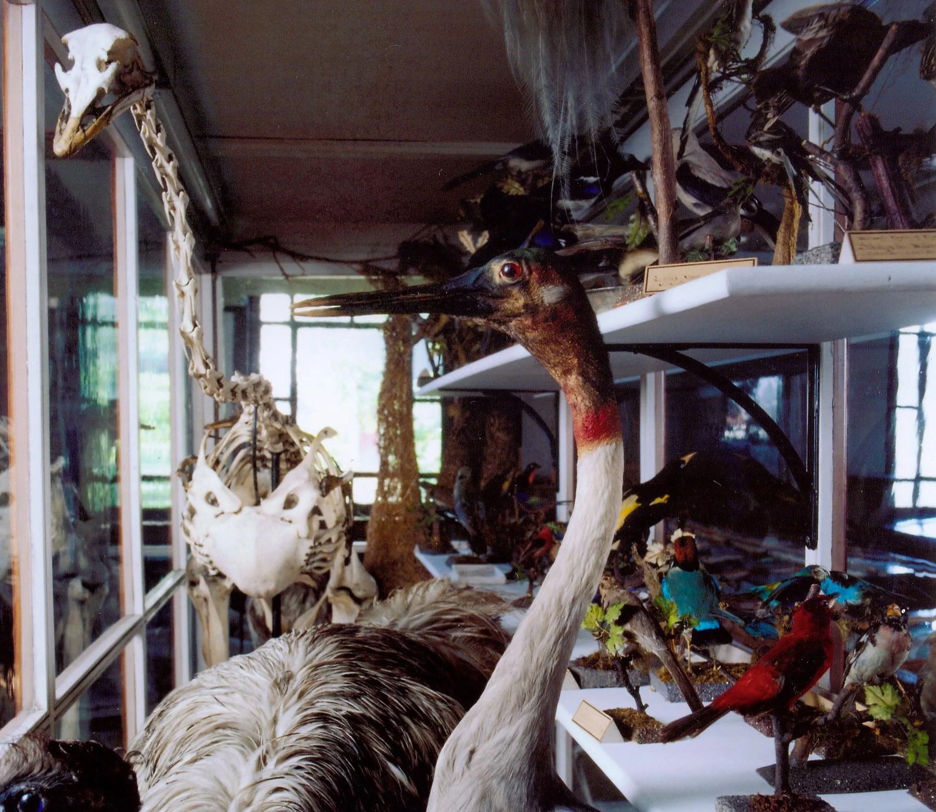birds_preservation.jpg