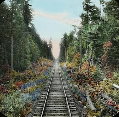 Screenshot (48).png