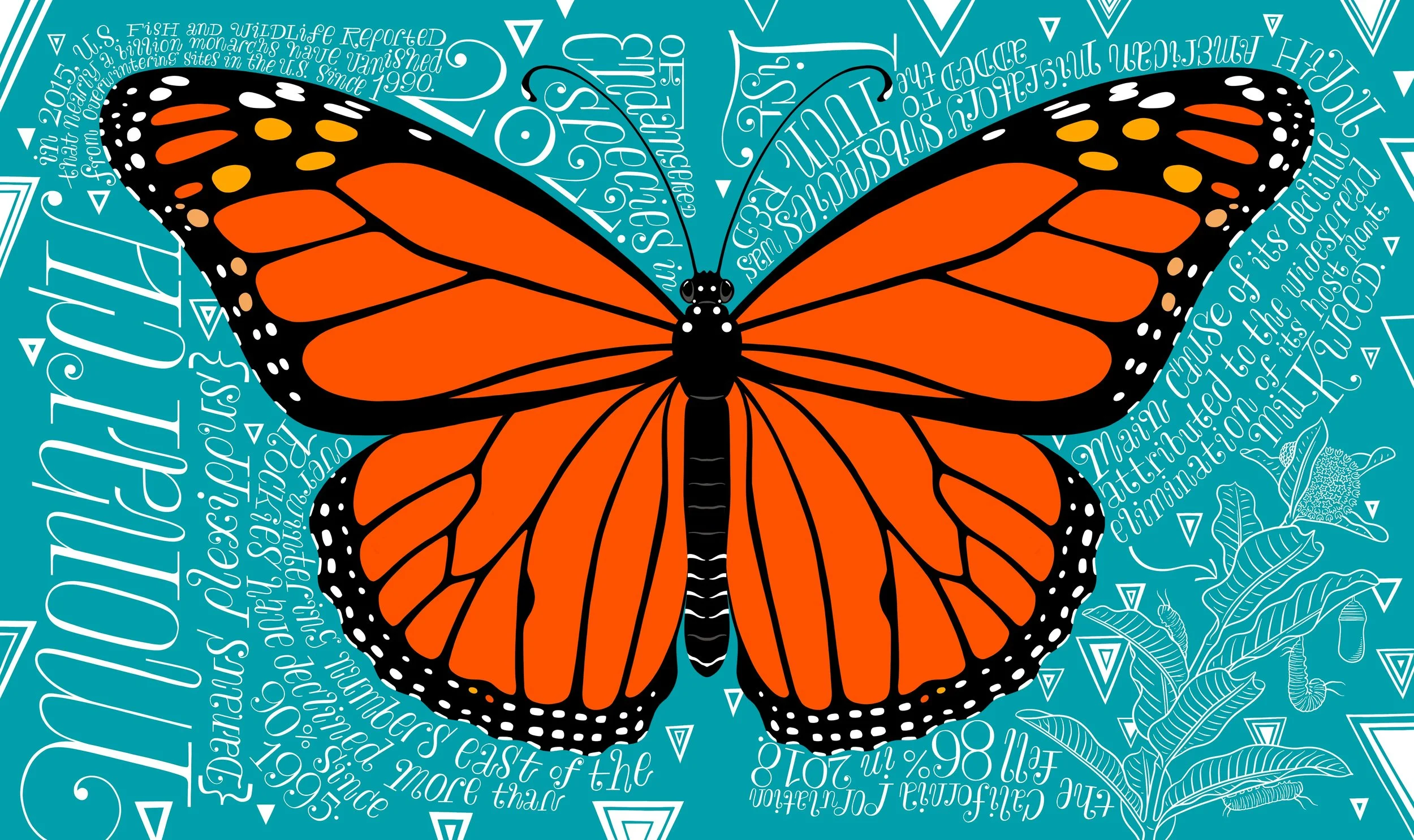 Monarch Butterfly.jpg