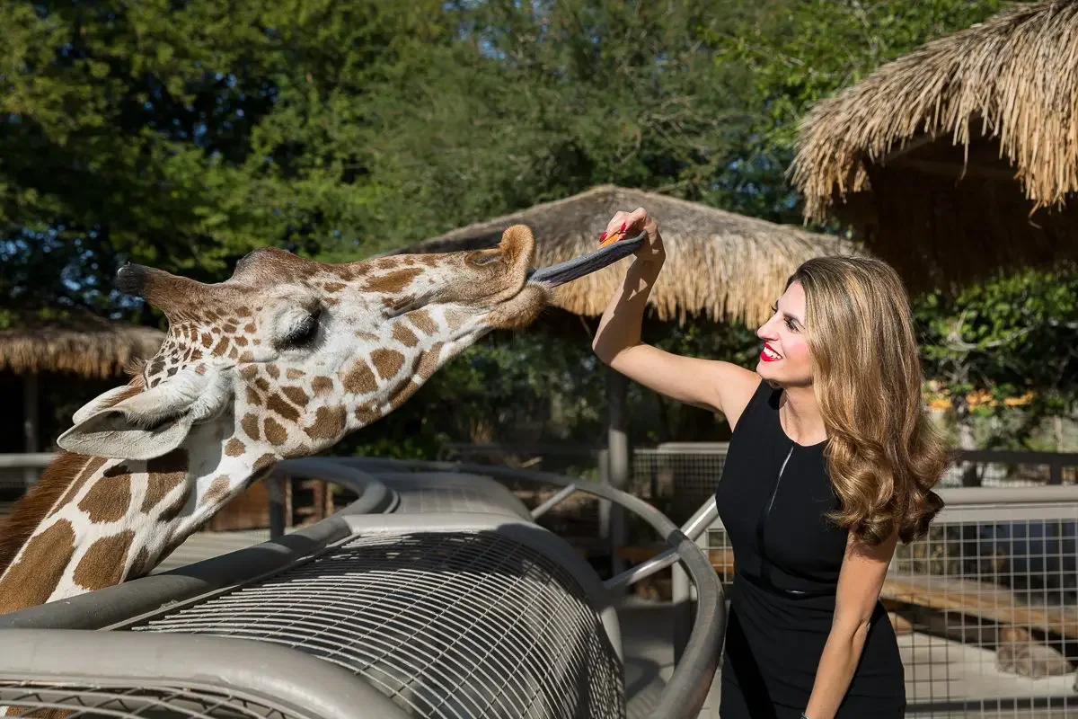 The Living Desert Zoo (Palm Desert)