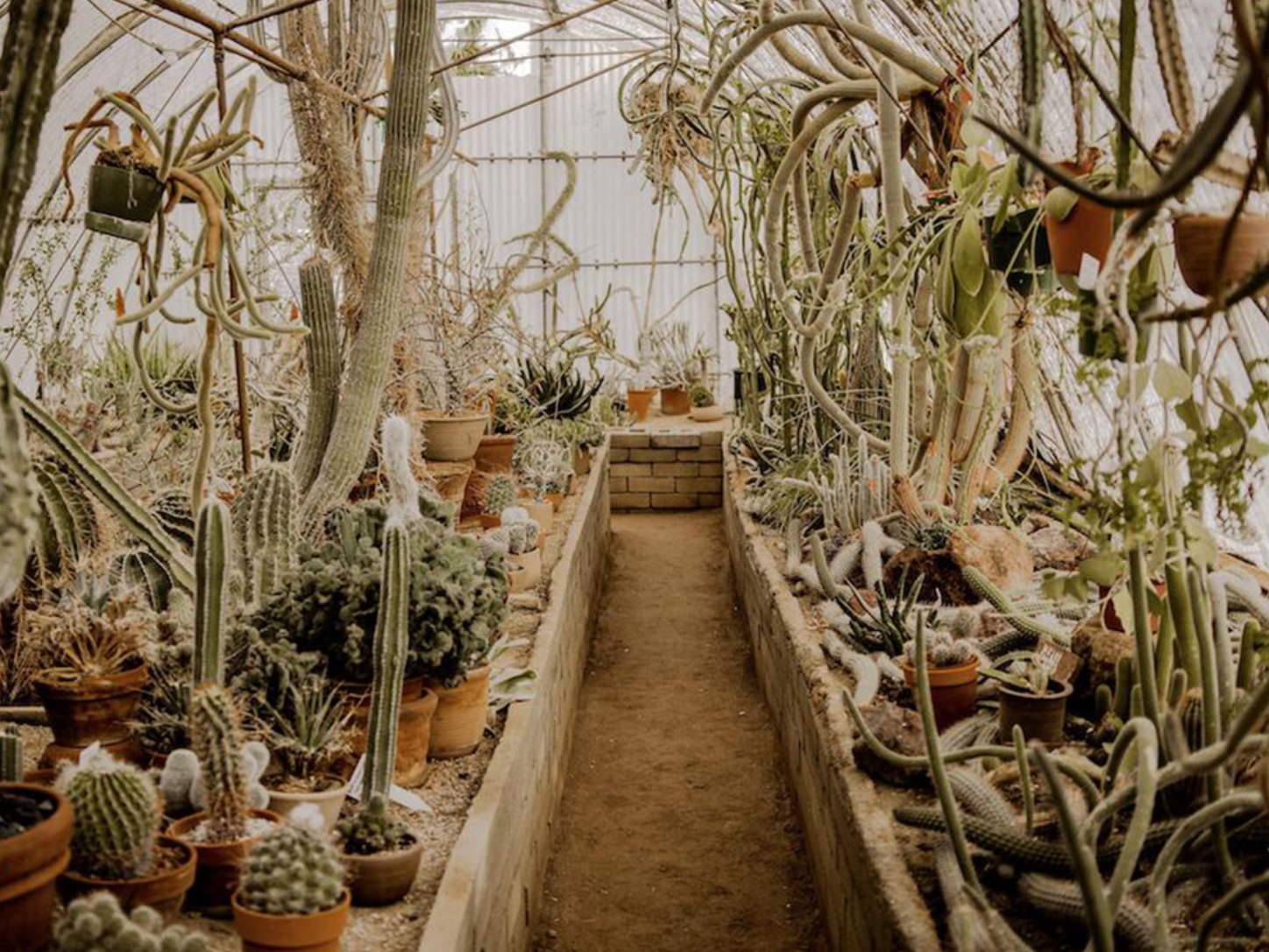 Moorten Botanical Gardens (Palm Springs)