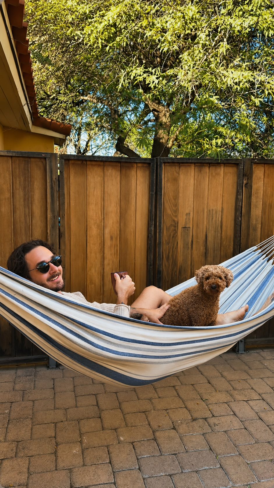 The Perfect Dog-Friendly Day in Desert Hot Springs