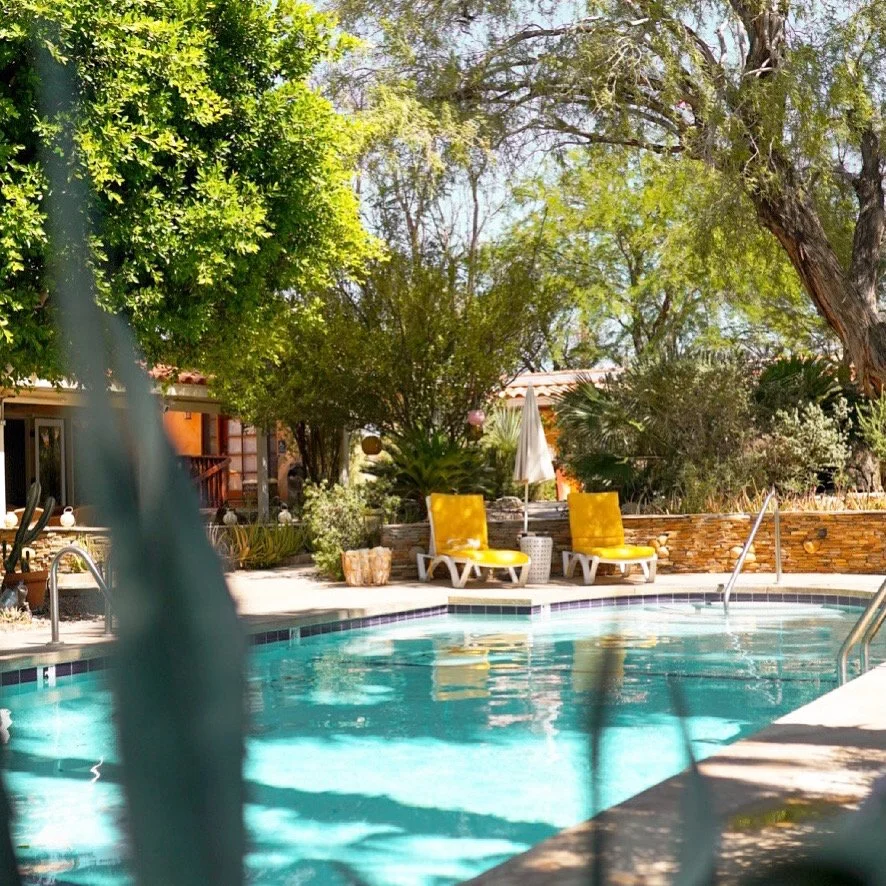 Swimming pool with yellow lounge chairs, surrounded by trees and plants, in a backyard setting.