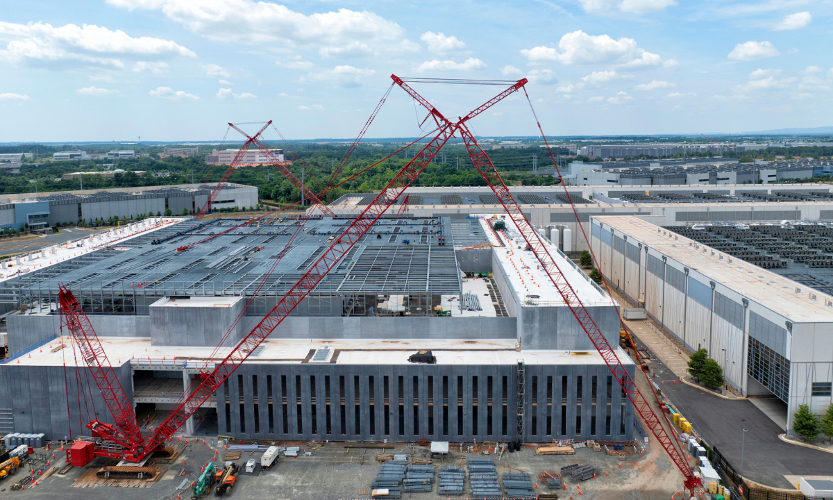 Forget overtourism. Do we have an overgrowth problem?