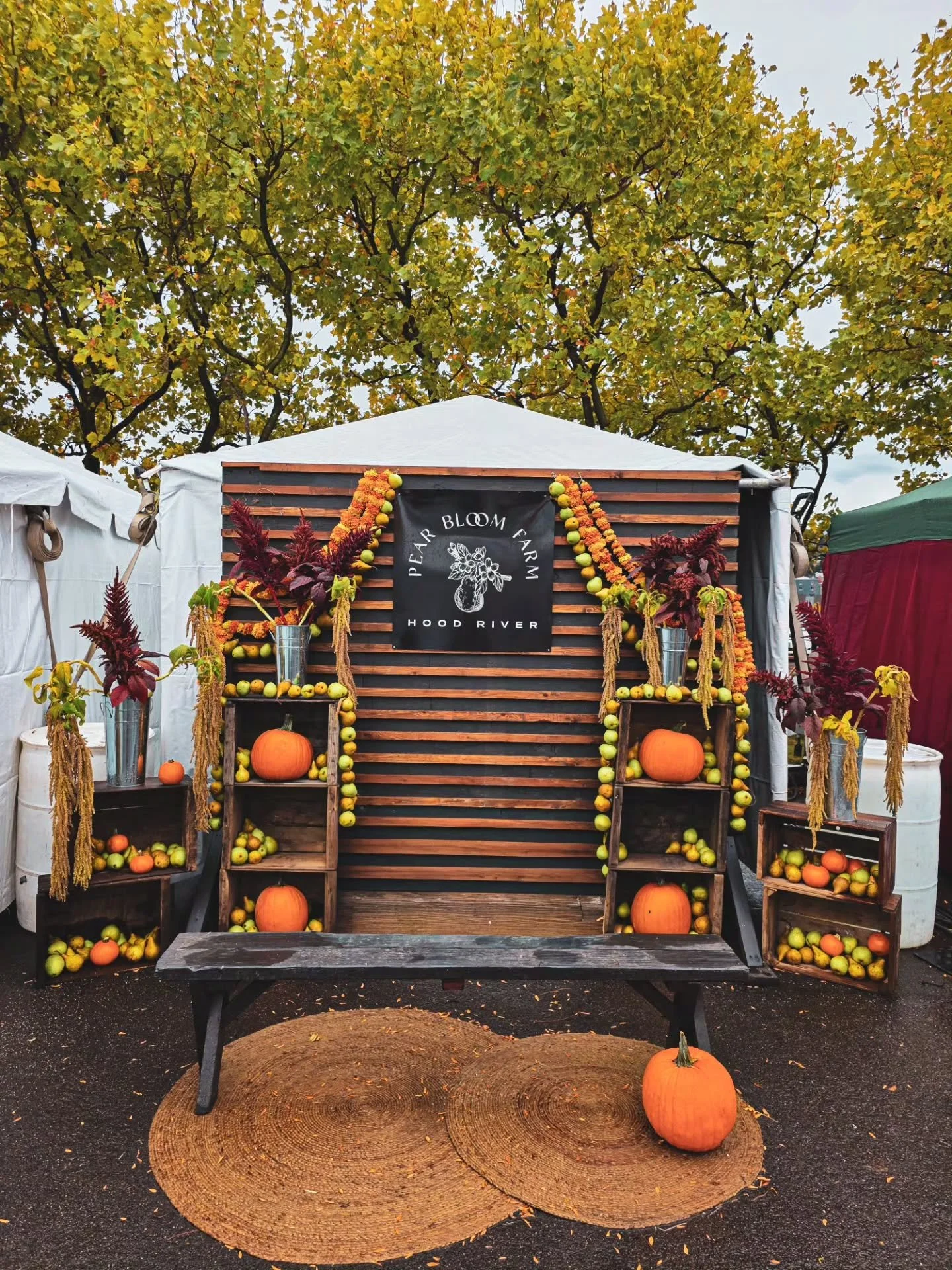 We have so much fun designing the Hood River Harvest Fest photobooth. Since 2022 we've been dreaming up new ways to honor the bounty of the valley. 

This year the pear crop in Hood River set records! SOOO many pears! The booth had to feature them of