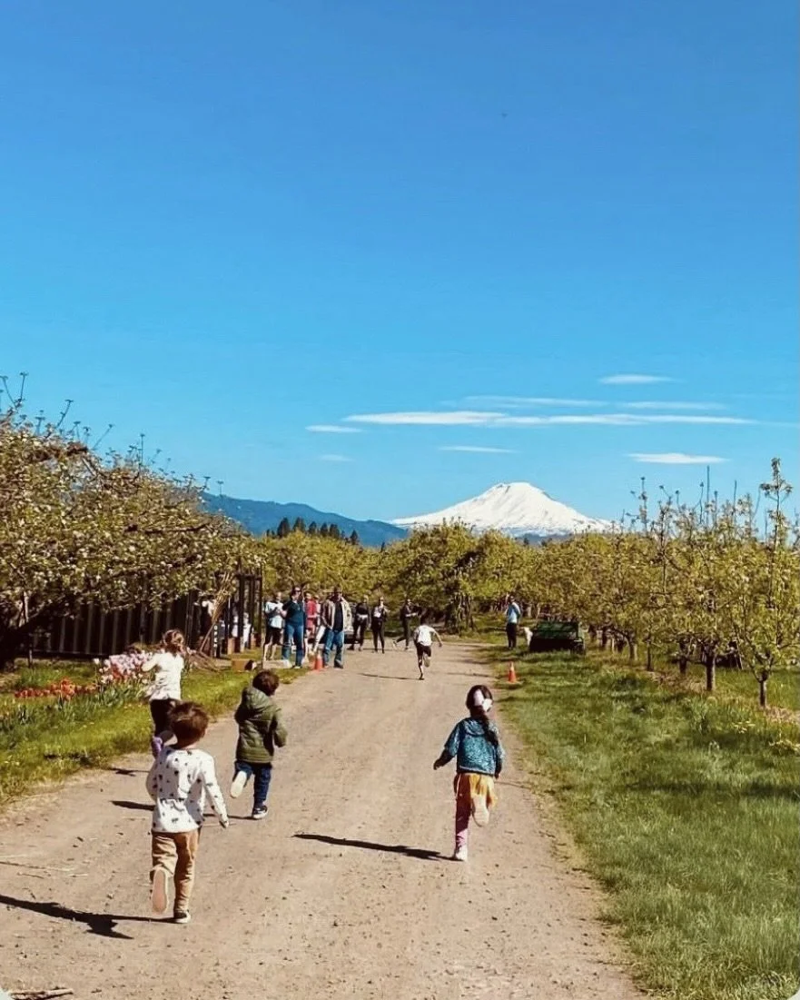 3 days to go! 🌷🏃🏻&zwj;♀️

We&rsquo;re counting down to our 5th Annual Pear Bloom Run on April 18th, 2026 and we can&rsquo;t wait to see you under the pear blooms. 

At 10 am, our little runners get their moment with the Tulip Tot Run 💛 Kiddos wil