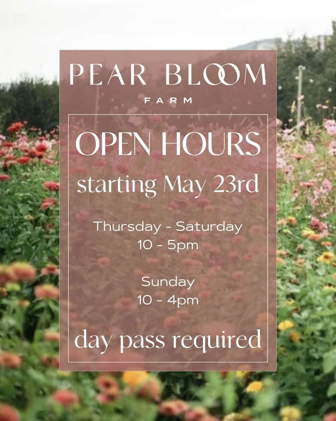 🪻🌼 Mark your calendars! 🌸🌷

We&rsquo;re opening May 23rd, 2026 and we can&rsquo;t wait to welcome you back to the farm. Grab your loved ones and gather in the blooms. We&rsquo;re so excited to see all the ways you&rsquo;ll enjoy the Secret Garden