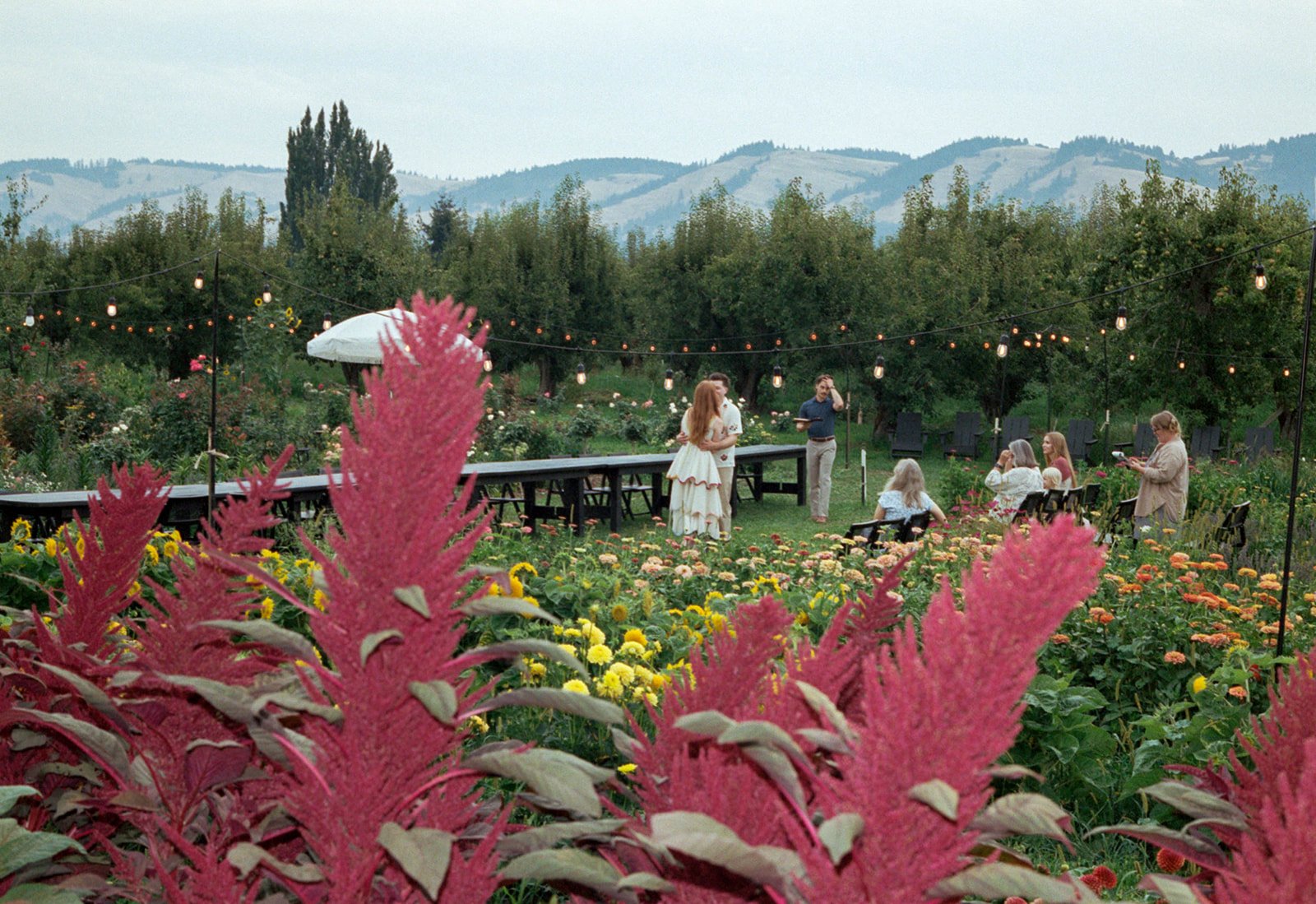 2026-ace-photography-crag-rat-hut-hood-river-wedding-rehearsal-dinner-film-18.jpg