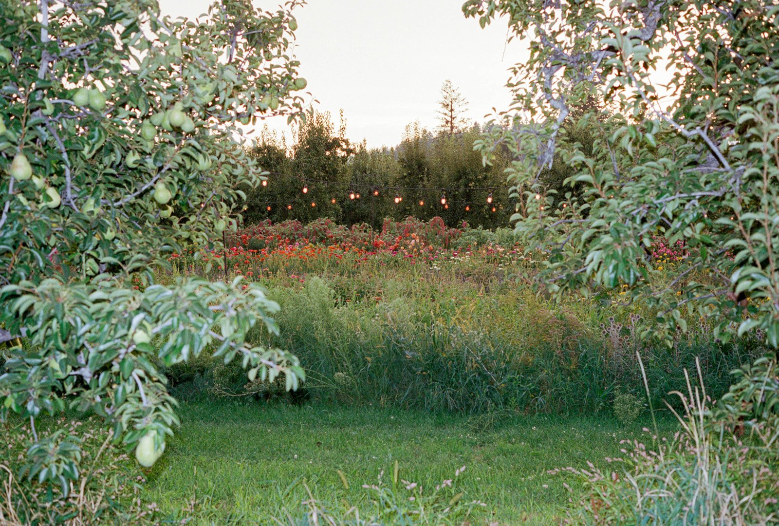2026-ace-photography-crag-rat-hut-hood-river-wedding-rehearsal-dinner-film-71.jpg