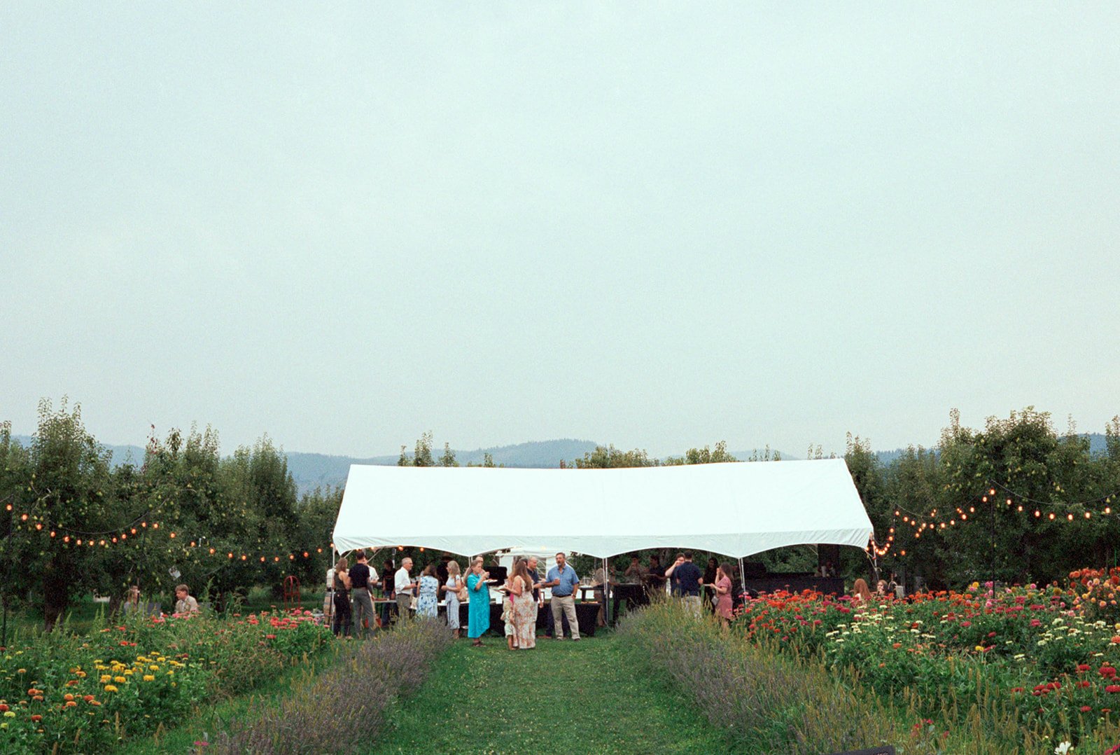 2026-ace-photography-crag-rat-hut-hood-river-wedding-rehearsal-dinner-film-73.jpg