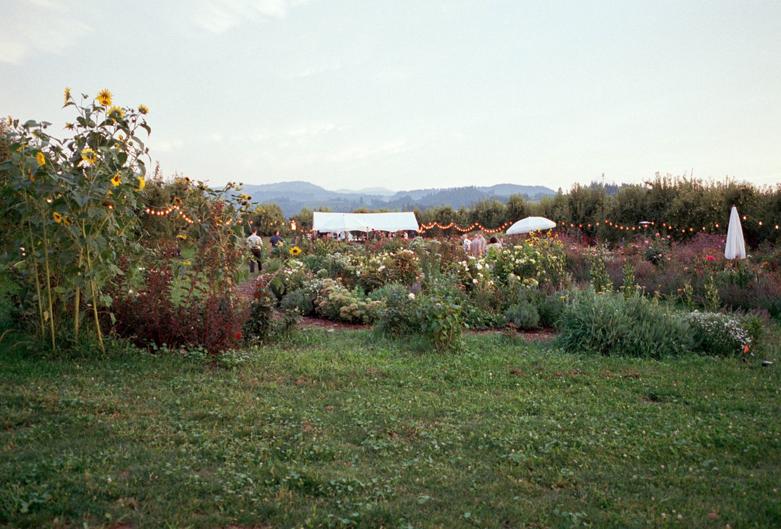 2026-ace-photography-crag-rat-hut-hood-river-wedding-rehearsal-dinner-film-79.jpg
